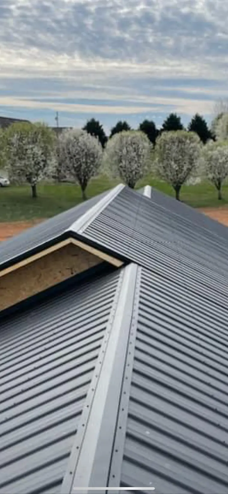 Charcoal metal roof ridge and hip detail with exposed ridge framing, flowering trees blooming in the background