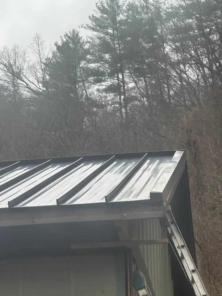 Silver Galvalume standing-seam metal roof and eave detail on a small building against misty winter woods