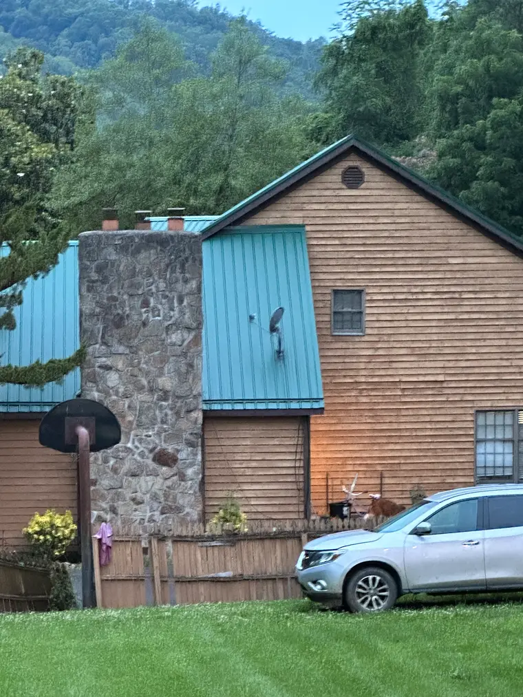 Two-story log-sided home with a green metal roof and a tall stone chimney, set against a wooded hill